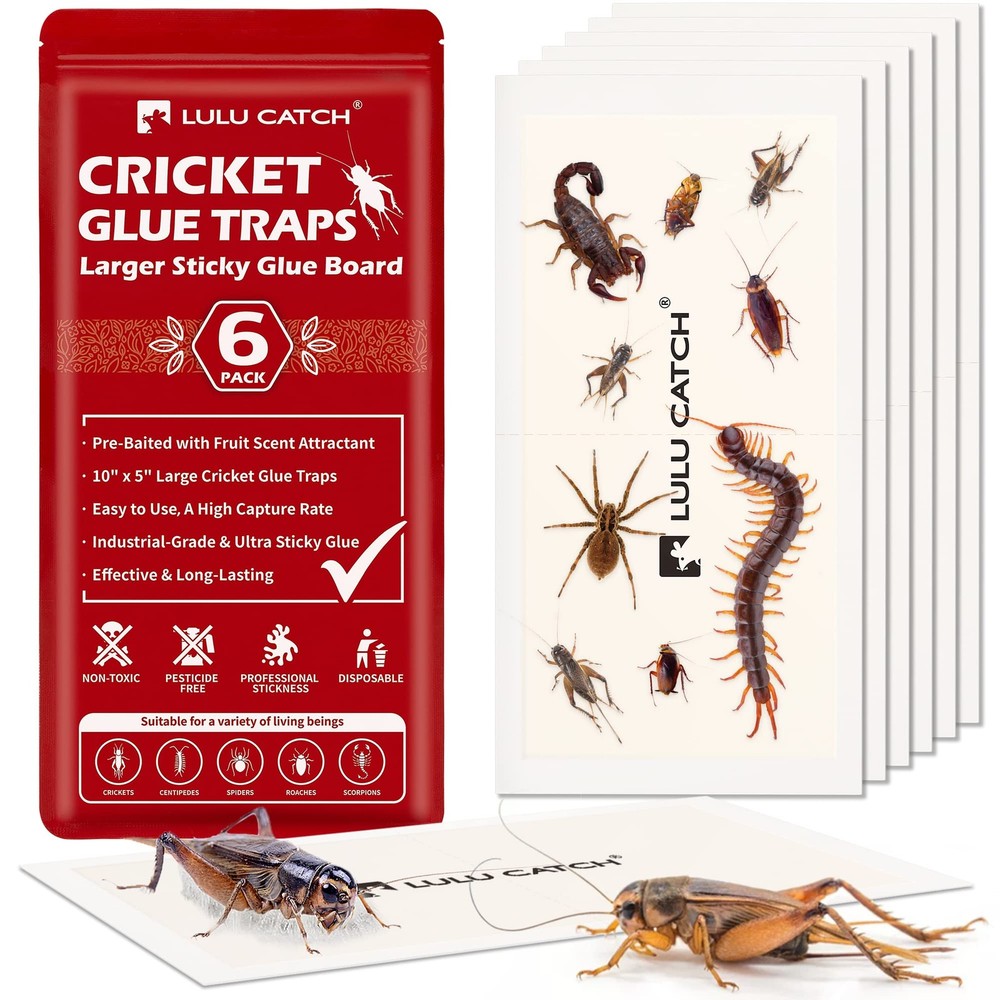 LULUCATCH Cricket Insect Glue Traps – 6 Pack Bug Cockroach 6 Pack, White