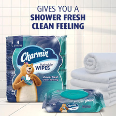 Flushable Wipes, 480 Total Wipes (12 Packs of 40)