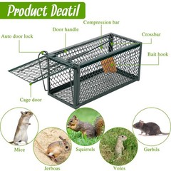 Qualirey 4 Pcs Humane Rat Trap Chipmunk Rodent 9.1 x 4.5 x Inches, Green
