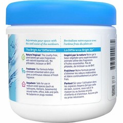 Britannia 900090CT Gel Air Freshener 14oz Cool Clean