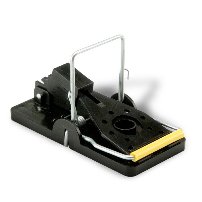 Kness Snap-E Mouse Trap- 4 Pack