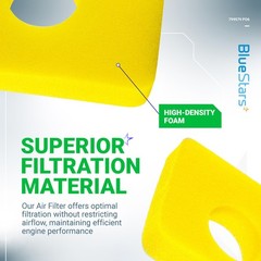 BlueStars 6 Pcs 799579 Air Cleaner Foam Filter – 799579 PO6, Yellow