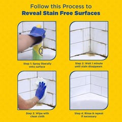 Zep Mold Stain and Mildew Remover – 32 oz (Pack of 32 Fl Oz 4)