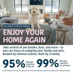 Allergy Asthma Clean Allergen Spray, Pets, Dust 67 Ounce (Pack of 1), Clear