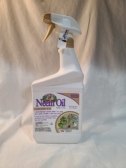 Bonide Products 3-In-1 Neem Oil Spray, Ready-to-Use, 32 Ounce