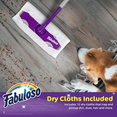 Fabuloso Dry and Wet Sweeper with Bonus 12 One Size (Pack of 1), Purple