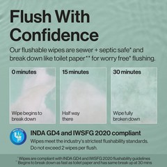 The Honest Company Hypoallergenic Flushable Wipes Sensitive Skin 42 Ct Pack of 3