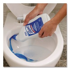Professional LYSOL Brand 74278CT 32 oz Bottle Toilet Bowl Cleaner (12/CT) New