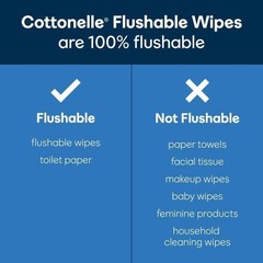 Flushable Wipes 60 Count Hypoallergenic XL Wet Wipes Shower Fresh Clean New
