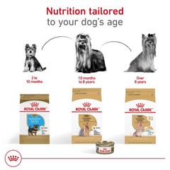 Royal Canin Yorkshire Terrier Adult 8 Dry Dog Food For Aging Dogs