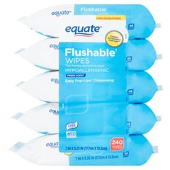 Flushable Wipes, Fresh Scent, 5 packs of 48 wipes, 240 Total Wipes