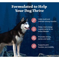 Blue Buffalo Wilderness Natural High-Protein Dry Food For Adult Dogs Salmon