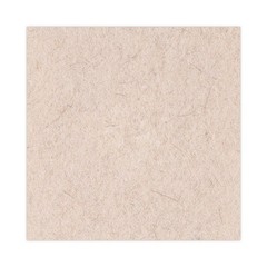 Boardwalk Natural Hog Hair Burnishing Floor Pads (5/Carton) Tan