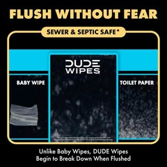 DUDE Wipes Shea BUTTer Flushable – 48 Count (Pack of 3), White