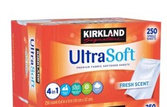 Kirkland Signature Fabric Softener Sheets, 250 Count