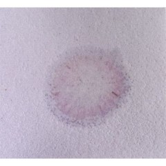 Absorbent Specialty Products 3Wmx7 Absorbent Specialty Products Acid