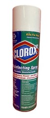 Clorox 38504 Disinfectant Spray Bleach Free Deodorizer 19 Oz Can