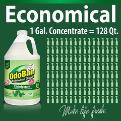 OdoBan Disinfectant Concentrate and Odor Eliminator, Made in the USA, Original E