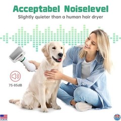 2-in-1 Dog Hair Dryer & Slicker Brush – 300W Portable Grooming Tool for Pets