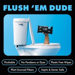 DUDE Wipes Unscented Flushable – 48 Count (Pack of 6), Multi