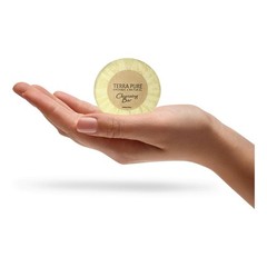Diversified Hospitality Solutions 2041 Cleansing Bar – Green Tea Lg (400/CT) New
