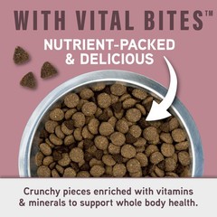 Natural Balance Specialized Nutrition Dry Dog Food Salmon And Oatmeal For Dogs
