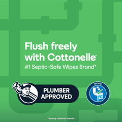 Cottonelle GentlePlus Flushable Wet Wipes with Aloe & Vitamin E, Adult Wet Wipes