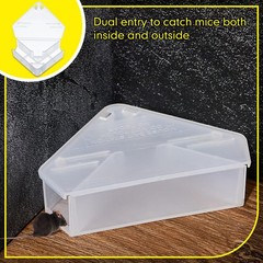 Qualirey 24 Pcs Mice Station with Key Triangle Mouse Translucent