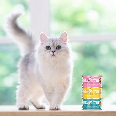 Weruva Cats in the Kitchen Coolsville Catch Variety Cans – 12x6oz Pack