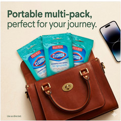 3 Pack Clorox Disinfecting Wipes To-Go Fresh Scent 9ct Each 27 Wipes Total