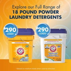 Arm & Hammer Powder Laundry Detergent, 288 Ounce (Pack of 1), Regular