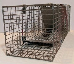 Pair of Live Animal Traps 1-18″ Little Giant Reinforced Single Door Entry 1- 16″