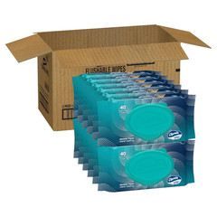 Flushable Wipes, 480 Total Wipes (12 Packs of 40)