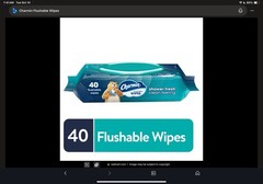 Charmin Flushable Wipes 2 Pack 40 Sheets Portable Cleaning Wipes TOTAL 80 SHEETS