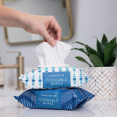 Member’s Mark Flushable Wipes, Fresh Scent, 540 ct.