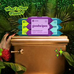 goodwipes Flushable Butt Wipes, Lavender Scented, 6 Pack, 300 Total Wipes