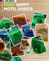 Motel Mouse Humane Traps No Kill Live Catch and Regular Green 4 Pack