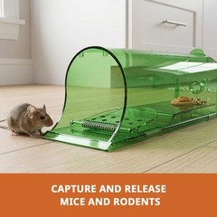 Kate’s Home & Garden Humane Rat Trap 2 Pack – Live Catch Mouse & Green