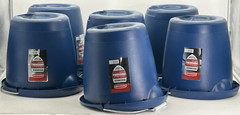 (6 PK) NEW Rubbermaid Commercial 15 Qt 14.2″ L Roughneck Blue Bucket Pour Spout
