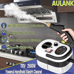 2500W Handheld Steam Cleaner,Portable Car Steamer For Auto Detailing