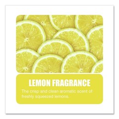 Big D Industries 150 16oz Shaker Can Granular Deodorant – Lemon (12/CT) New