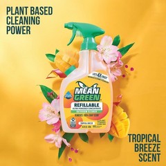 Mean Green Refillable Bathroom Cleaner Concentrate, 14.3 oz – 396269