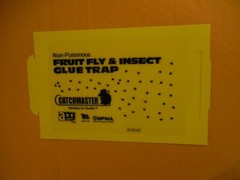 12 Catchmaster Fruit Fly Insect Glue Traps