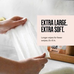 Wipe That Tush On-The-Go Flushable Wipes – 1 30 Count (Pack of 1), White