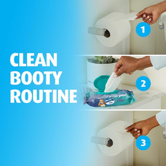 Flushable Wipes, 480 Total Wipes (12 Packs of 40)