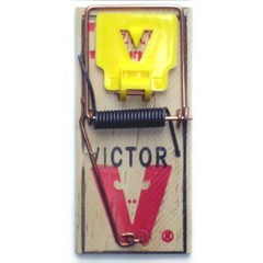 12 Victor Mouse Snap Traps Victor M325 Mice Traps Expanded Trigger Mouse Trap
