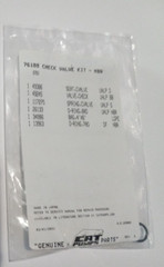 76188 Check Valve Kit / Cat Pumps 66DX35G1I And Unloaders 7850,7860