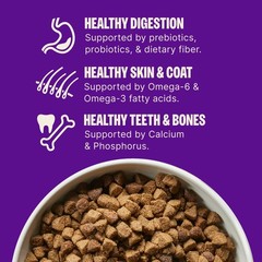 Wellness Complete Health Adult Dry Dog Food Wholesome Grain Kibble Natural