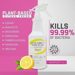 LUCAS-CIDE Ready To Use All Purpose Cleaner – Home Essentials Cleaning…