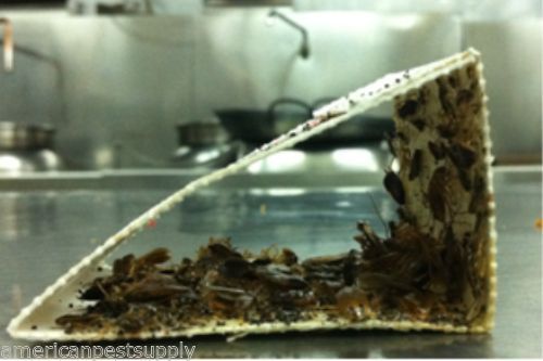 36 Catchmaster Cockroaches Traps 100i Baited Cockroachees Insect Pheromone Traps